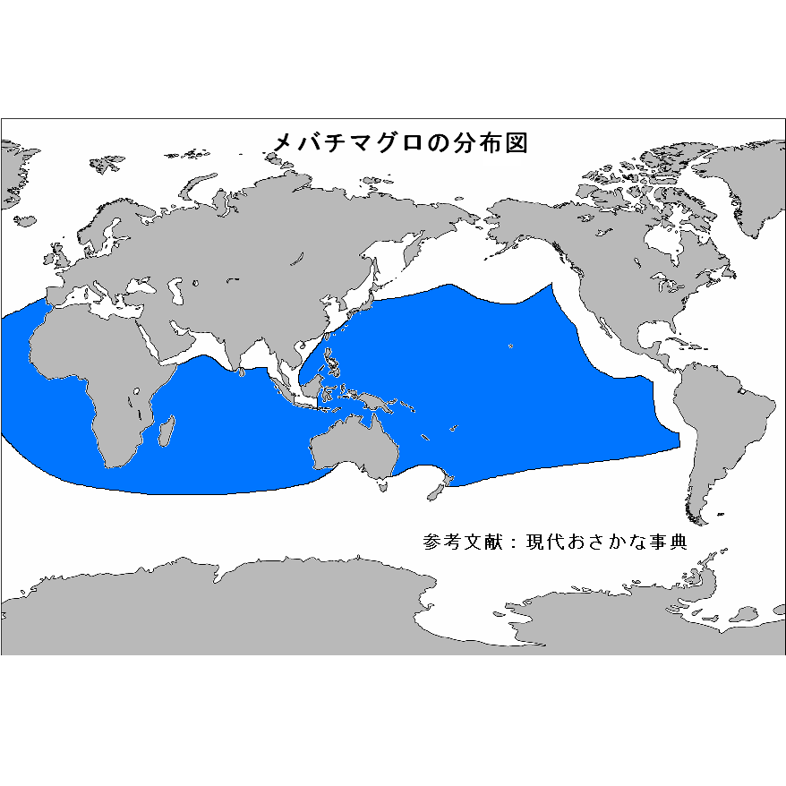 株式会社うおいち 株式会社うおいち