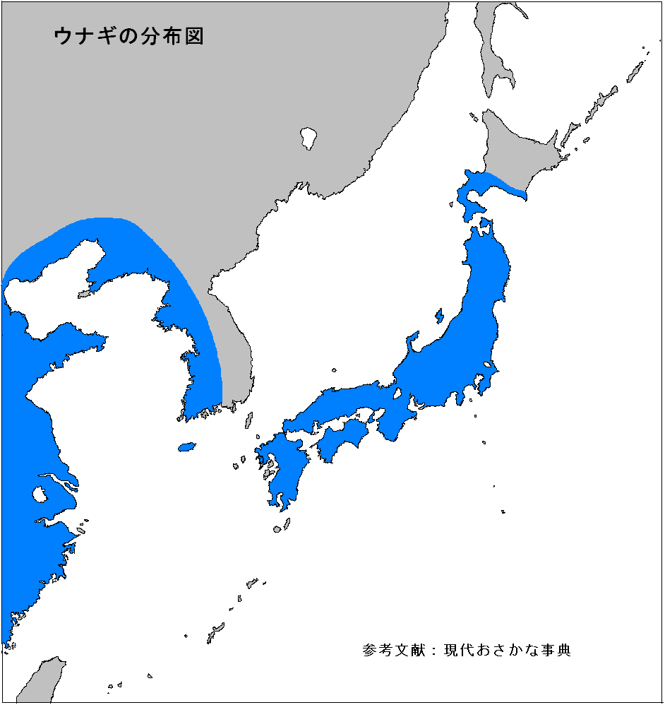 株式会社うおいち 株式会社うおいち