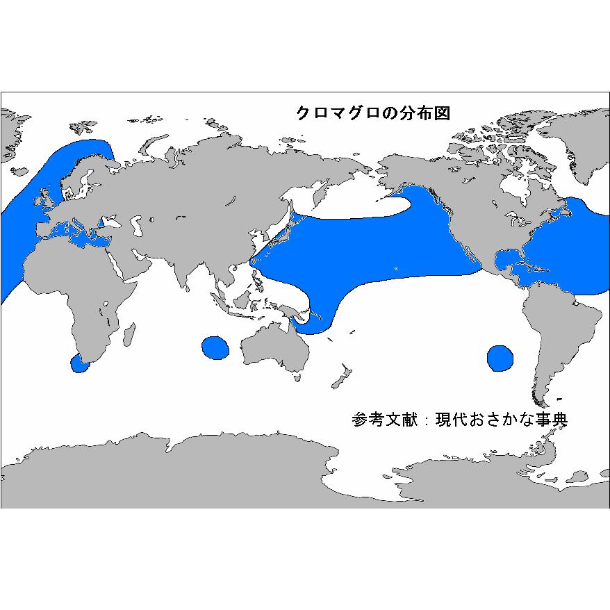 株式会社うおいち 株式会社うおいち