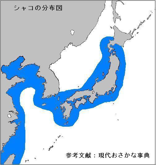 株式会社うおいち