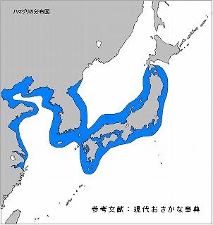 株式会社うおいち