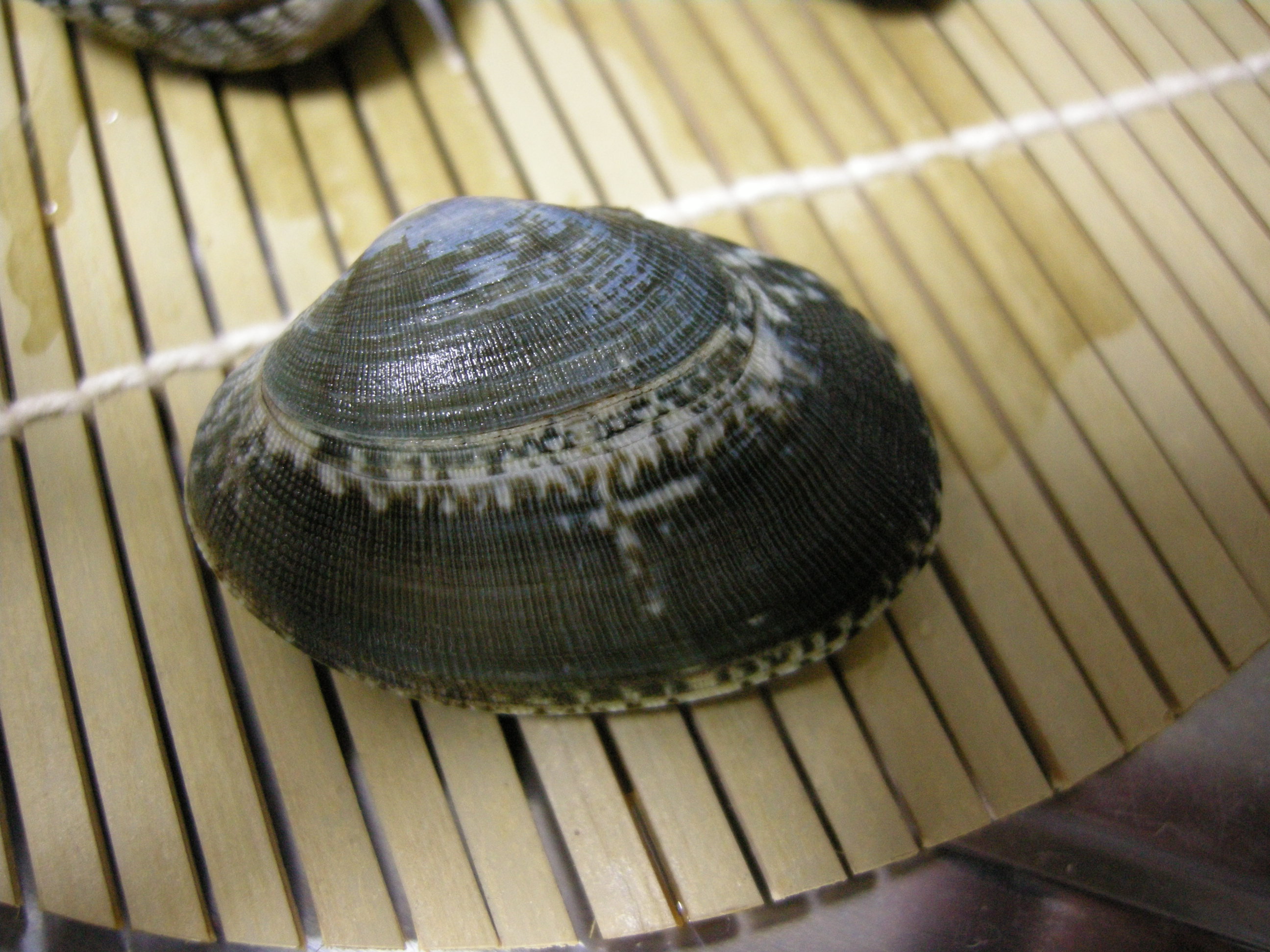 株式会社うおいち