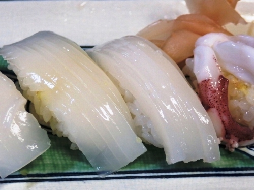 剣先イカの握り寿司
