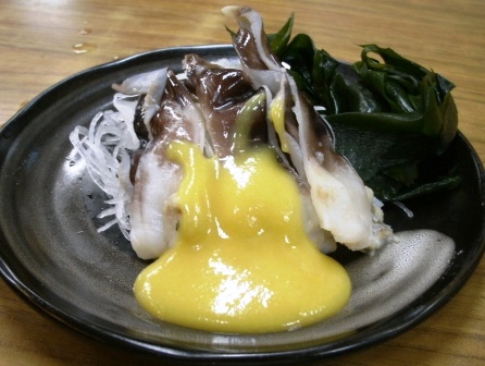 とりがいの刺身